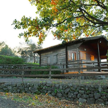 Agriturismo Kikajon Linguaglossa Extérieur photo