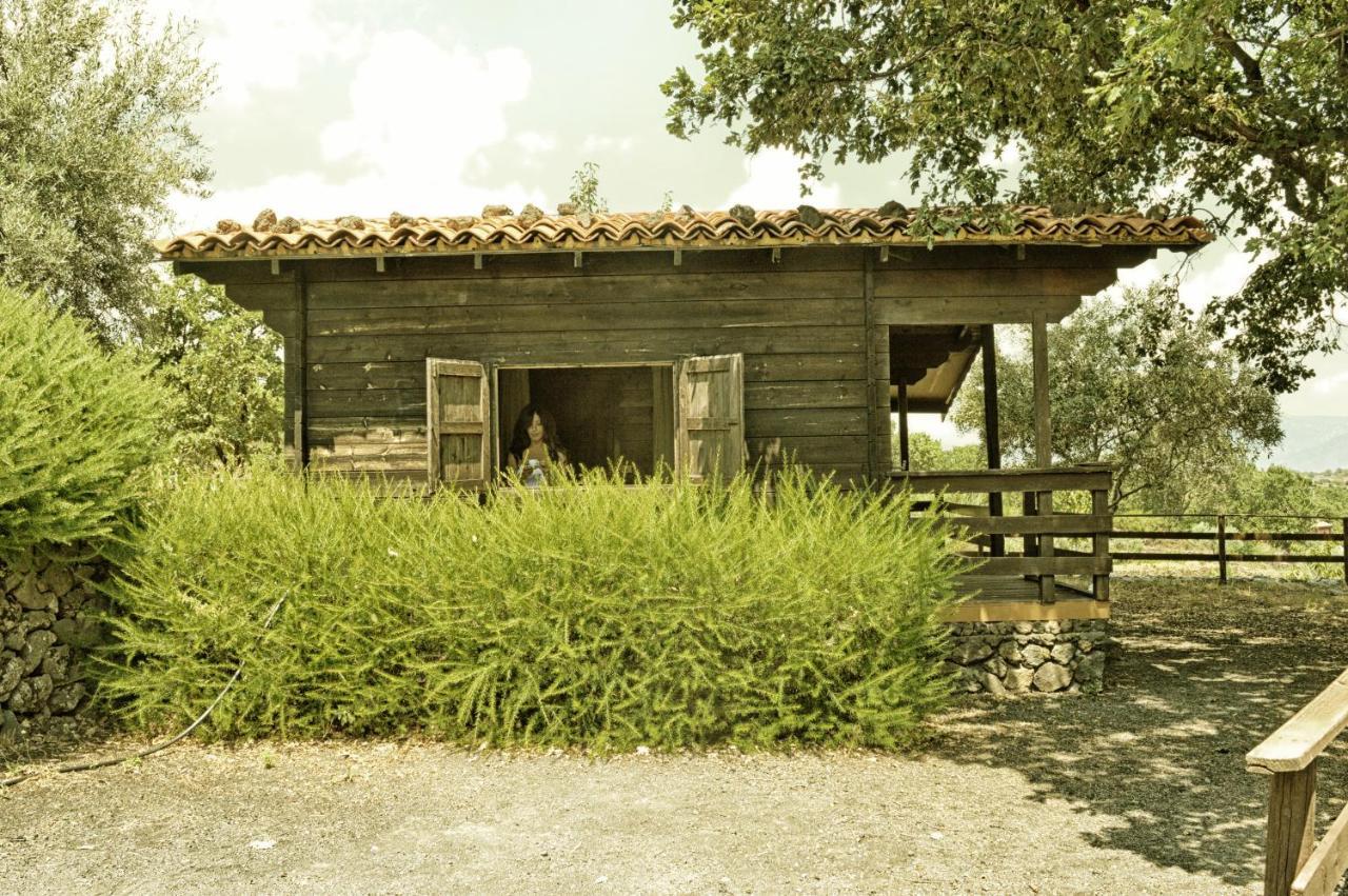 Agriturismo Kikajon Linguaglossa Extérieur photo