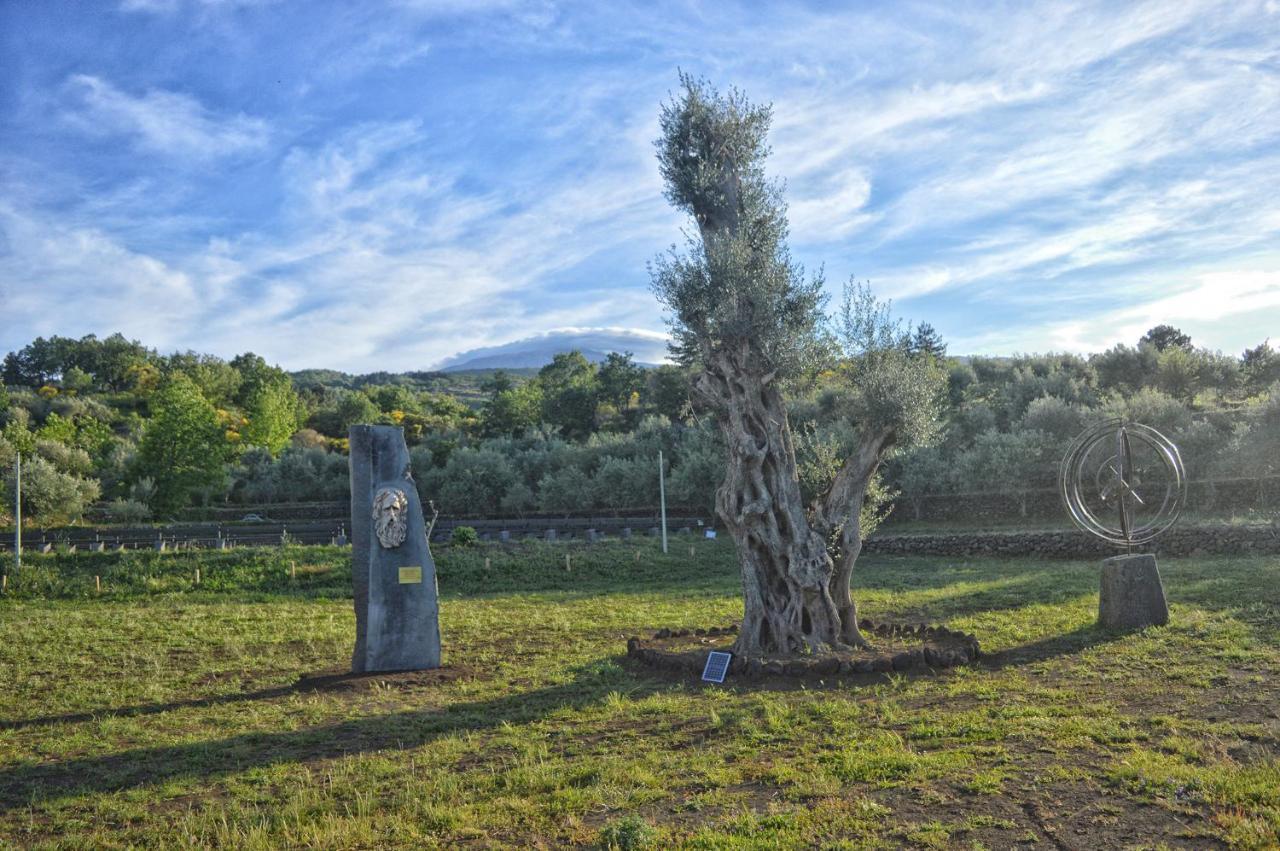 Agriturismo Kikajon Linguaglossa Extérieur photo